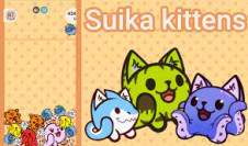 Suika Kittens